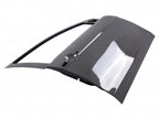 Carbon Fiber Exterior Front Doors - Mitsubishi Evolution X (2006-2016) CZ4A