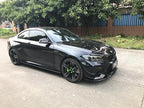 Carbon Fiber Side Skirts - BMW M2 F87 (2016-2017)
