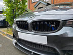 Carbon Fiber Grille - BMW M4 F82 (2014-2020)