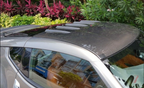 Varis Type Carbon Fiber Roof Top - Nissan 370Z ( 2009 - 2020 ) Z34